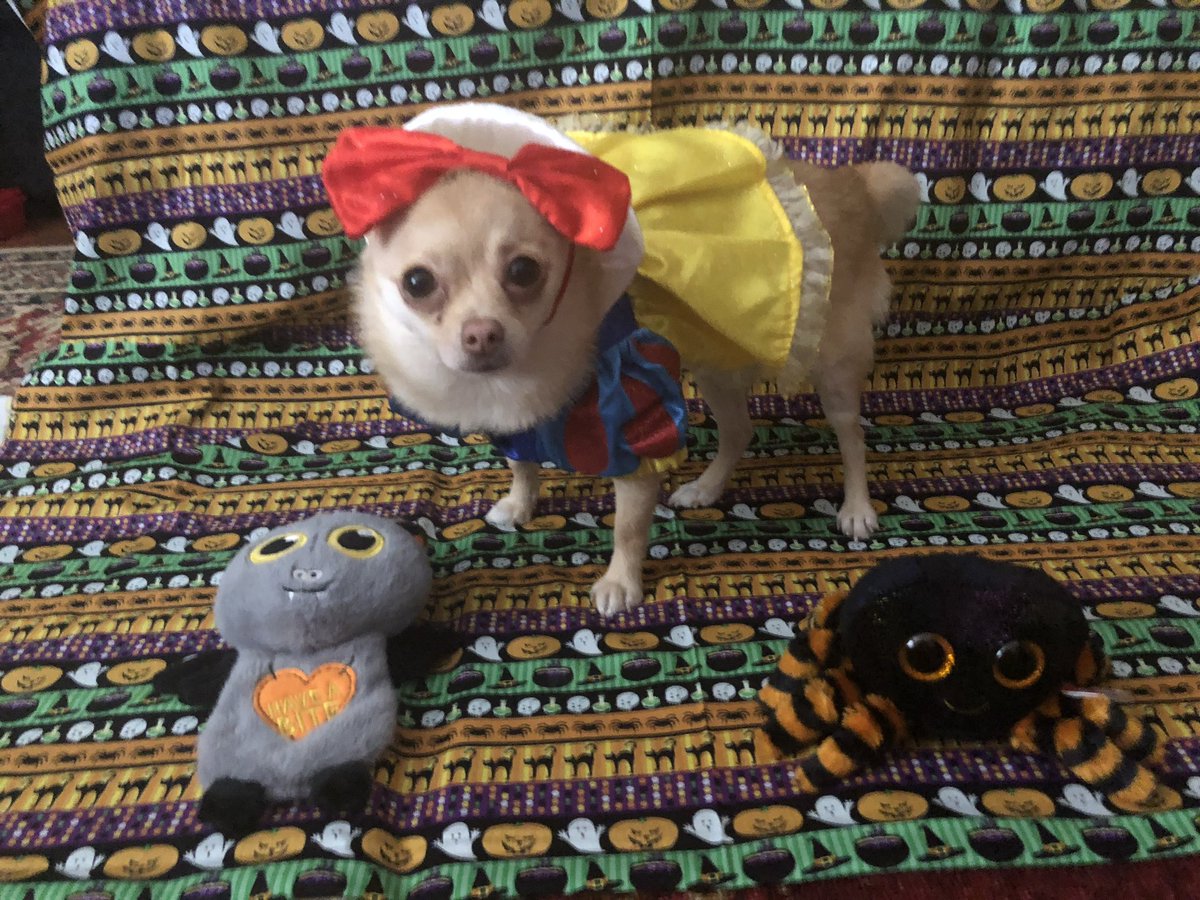 <a href="/GraciesWorld3/">Gracie Ann/Princess Gracie the Gracious, 31st PODT</a> I have the same costume! I was only one and a half here and I don’t think it fits me anymore