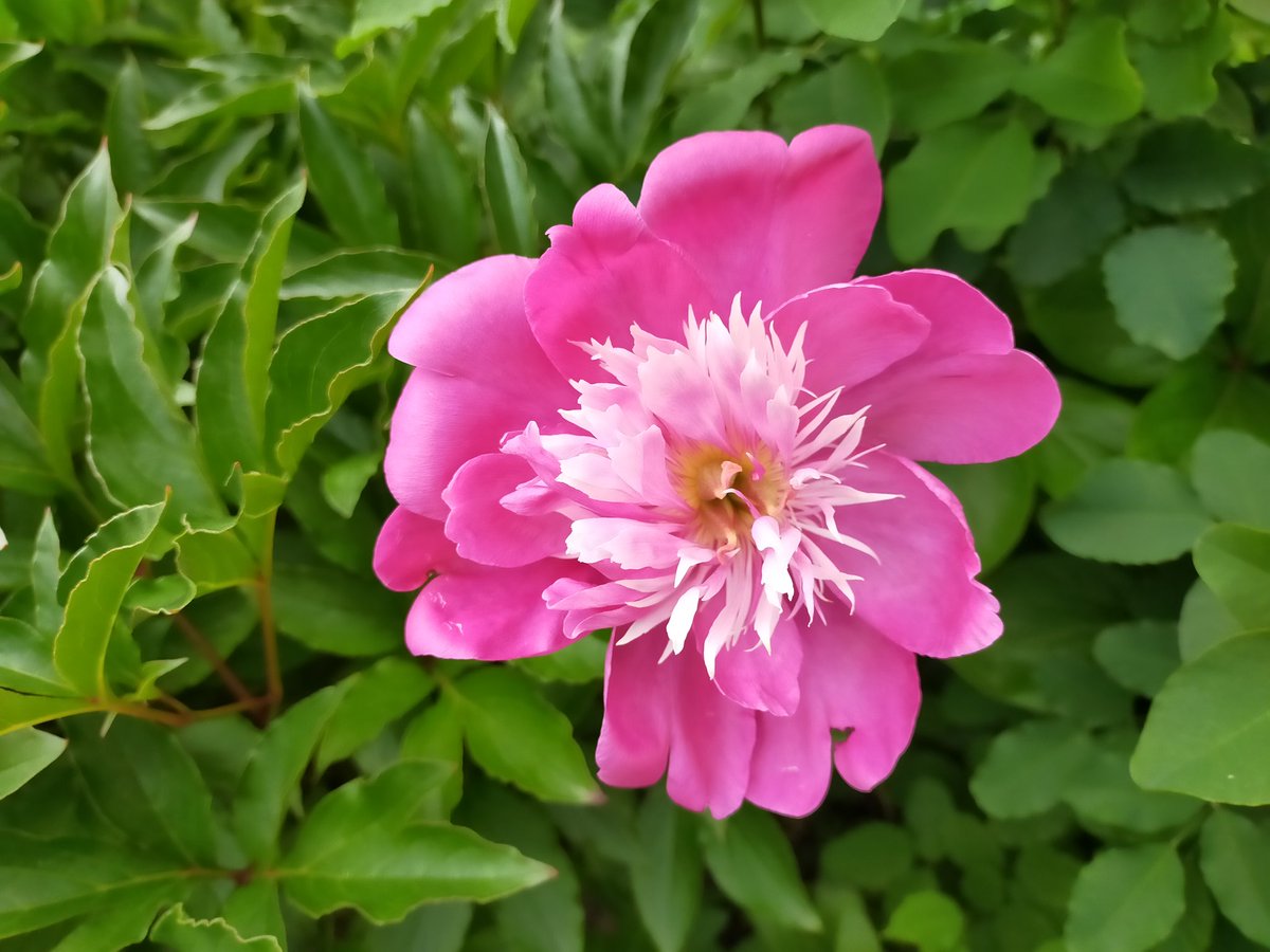 cryptoskeleton1's tweet image. gm〜☠