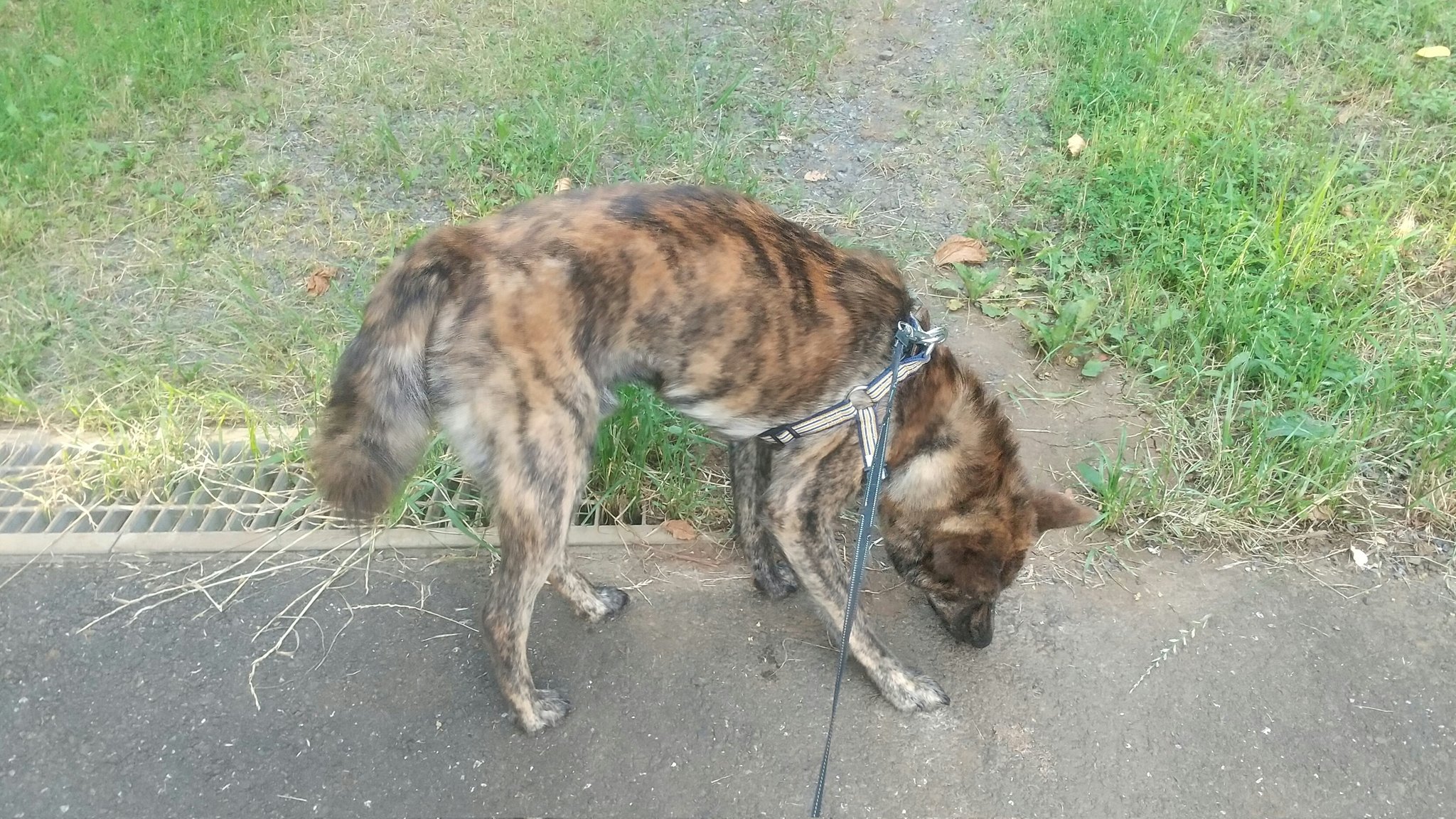 See Jpmetsanvartija S Tweet Twitter