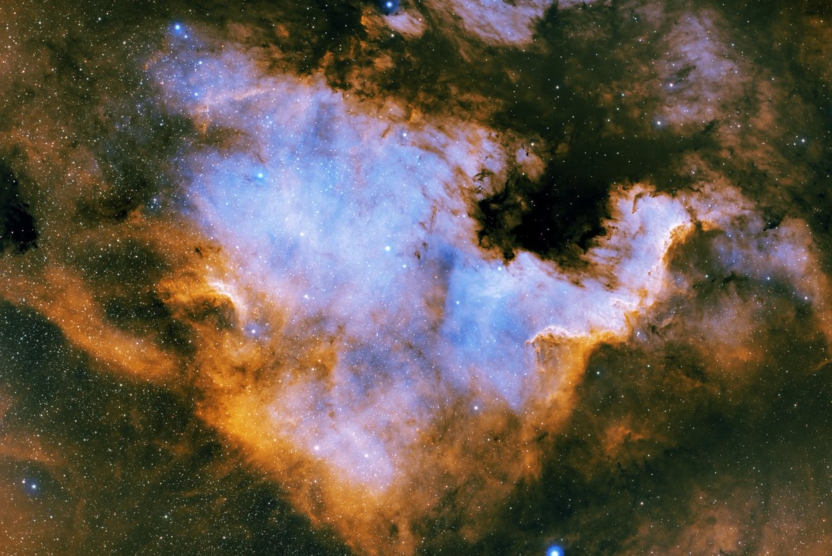 My final shot of NGC7000 (North American Nebula) shot over the last 2 nights...

7.5hrs, FLT91, 2600MC, L-Extreme  #Astrophotography    👍🔭