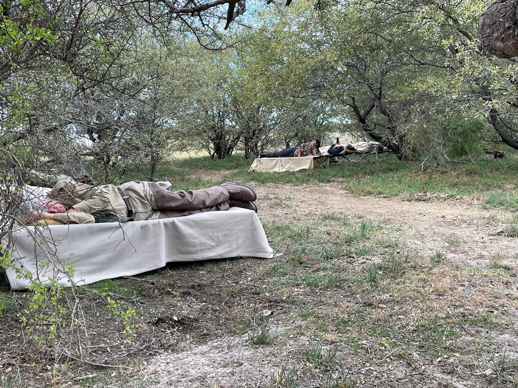 PacoRiestra's tweet photo. Don't nobody wake them no!

Precious time before resuming the afternoon hunt

#dovehunting #doveshooting  
.
@SafariClubIntl @CCA_Texas  
@DeltaWaterfowl @DucksUnlimited   

The Outfitter @pacoriestra
The Place Santiago del Estero Lodge 
The Game #birdhunting #wingshooting https://t.co/weCkZzwvXJ