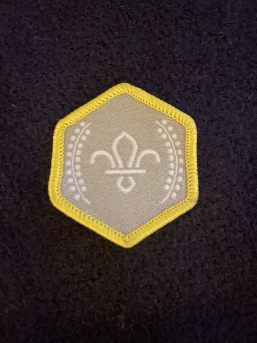 JoannaSantinon's tweet photo. So proud of our little guy achieving his Chief Scouts silver award today @scouts   Big shout out to ⁦@13thWimbledon⁩ for supporting him to achieve #skills4life https://t.co/UEbeQGX0Qj