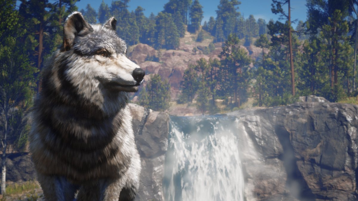 RockstarGuides's tweet photo. https://t.co/pKvXbXsx8k