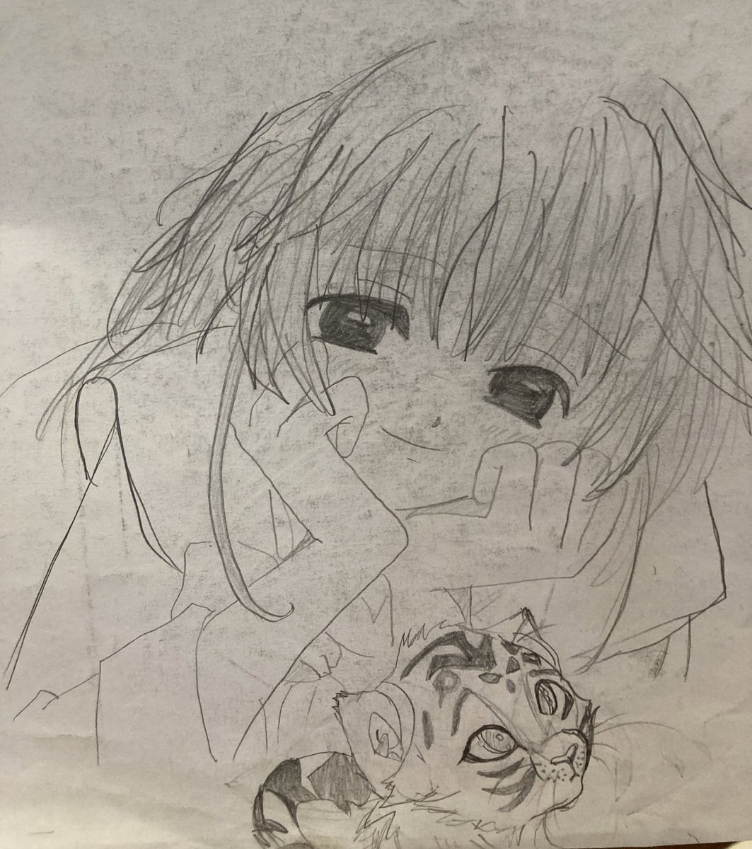 when i traced tsubasa chronicles  for a tiger girl oc 