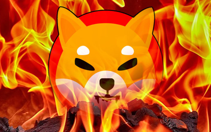 56,010,002,538 $SHIB Now Incinerated in the Shib Burn Portal. 🔥🔥🔥