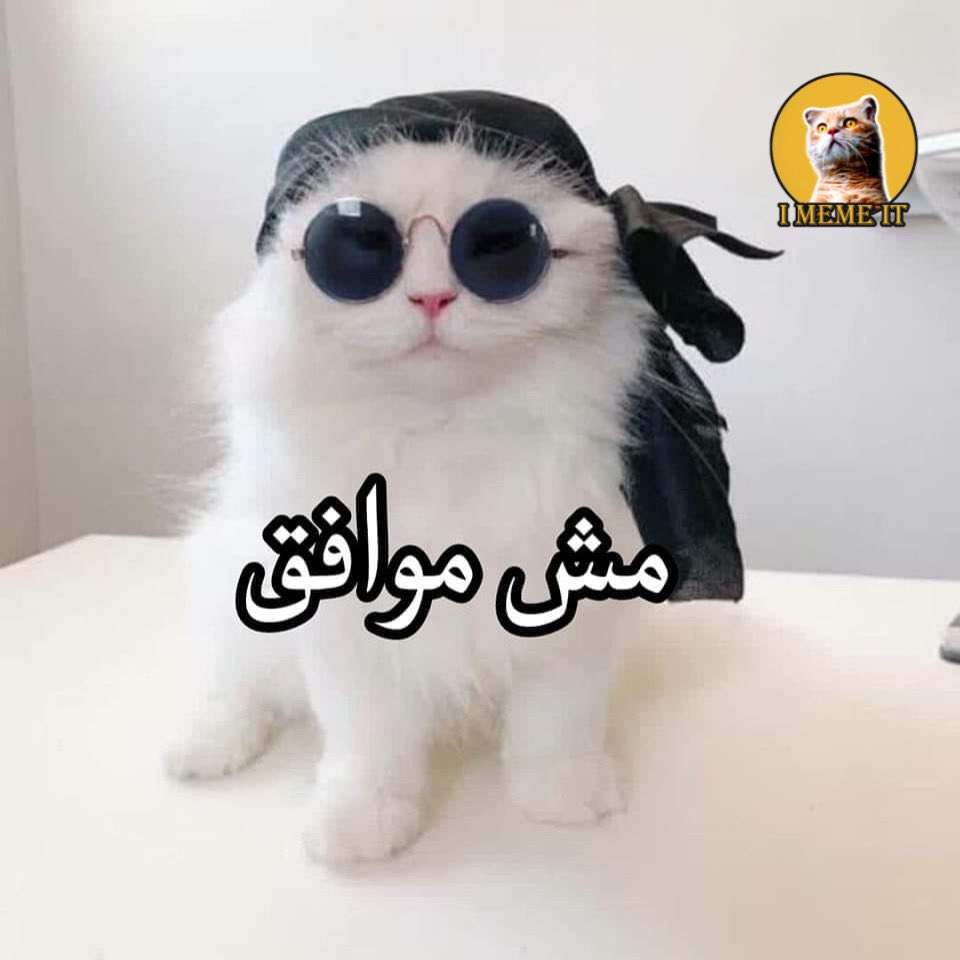 egymeme11's tweet photo. 99 من الأطباء ينصحون بمعجون سنسوداين للأسنان

الطبيب رقم 100: https://t.co/dS4QpQ8GeS