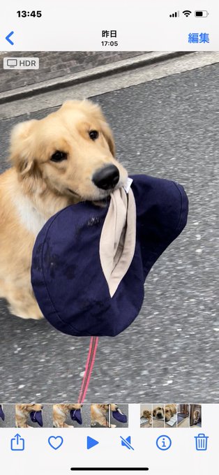 Sugar S Recent Tweets 17 Whotwi Graphical Twitter Analysis