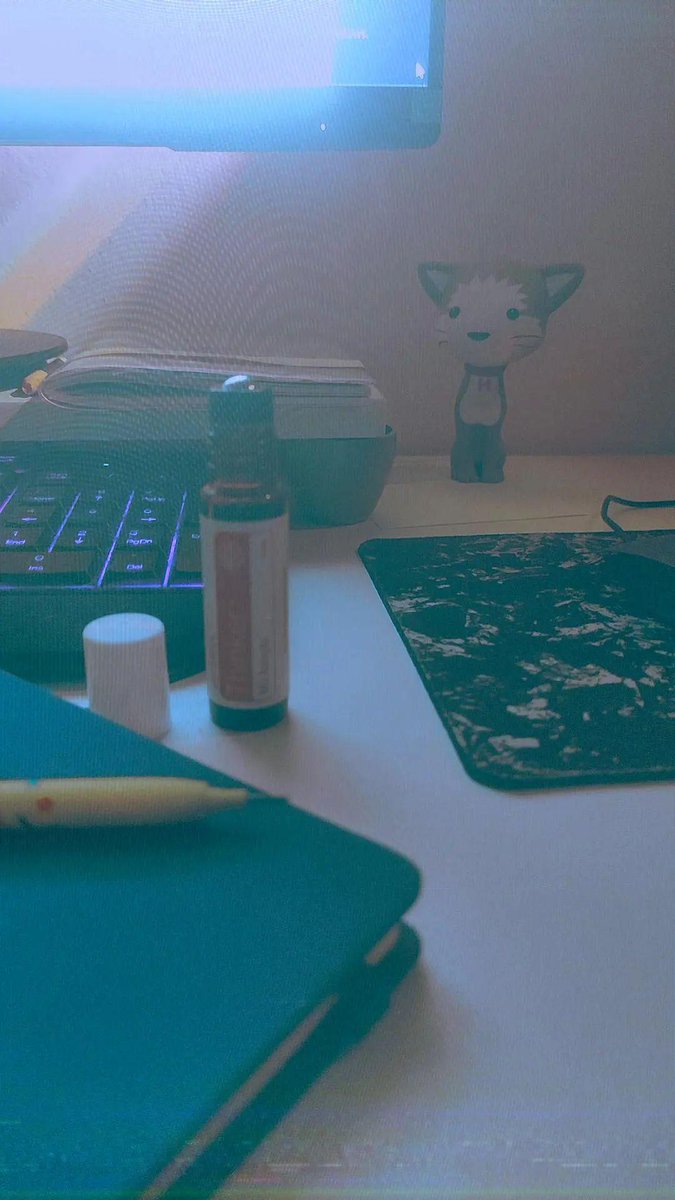 ccadcode's tweet image. Day 6 of #100DaysOfCode and theoretical classes continues, I&apos;m so excited for learning more tomorrow bc today&apos;s session was exhausting but rewarding
| 🛡️✨💻
Hoje foi mt produtivo, tô exausta mas amanhã tem mais e eu tô animada 🤯
#CodeNewbies