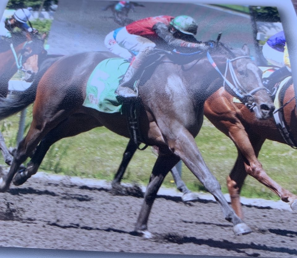 Nice win for We’re in Command today, great ride from Scotty Williams! Sad about the claim but he’ll win again.