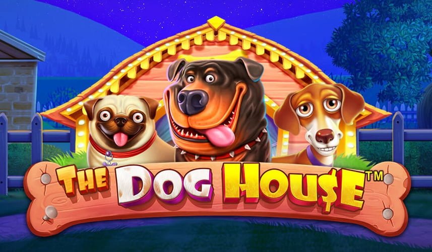 Wild Casino High RTP Slot: The &#39;Dog House&#39; Offers Up to 27 Free Spins