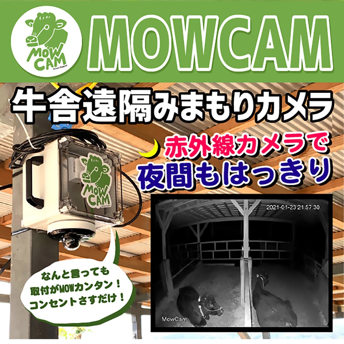 ys63406609's tweet photo. MOWCAM🐮 https://t.co/WlRS9tNZiA