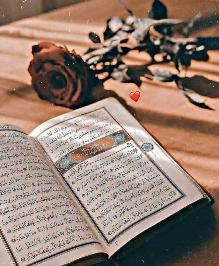 ѕнυנα υ∂ ∂ιη 🐦 tweet media