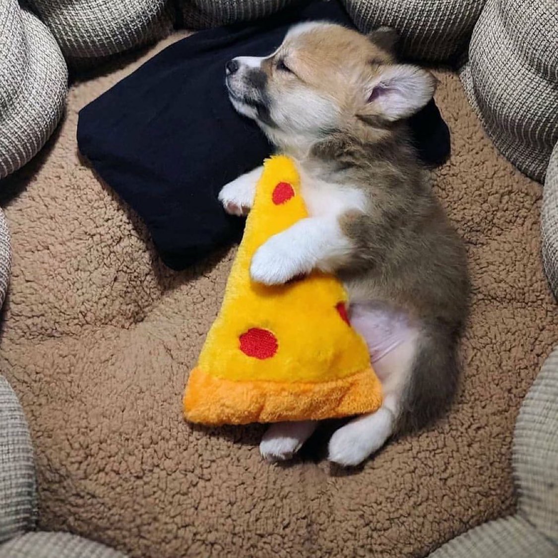 PAVGOD's tweet image. When u fall asleep eating pizza
