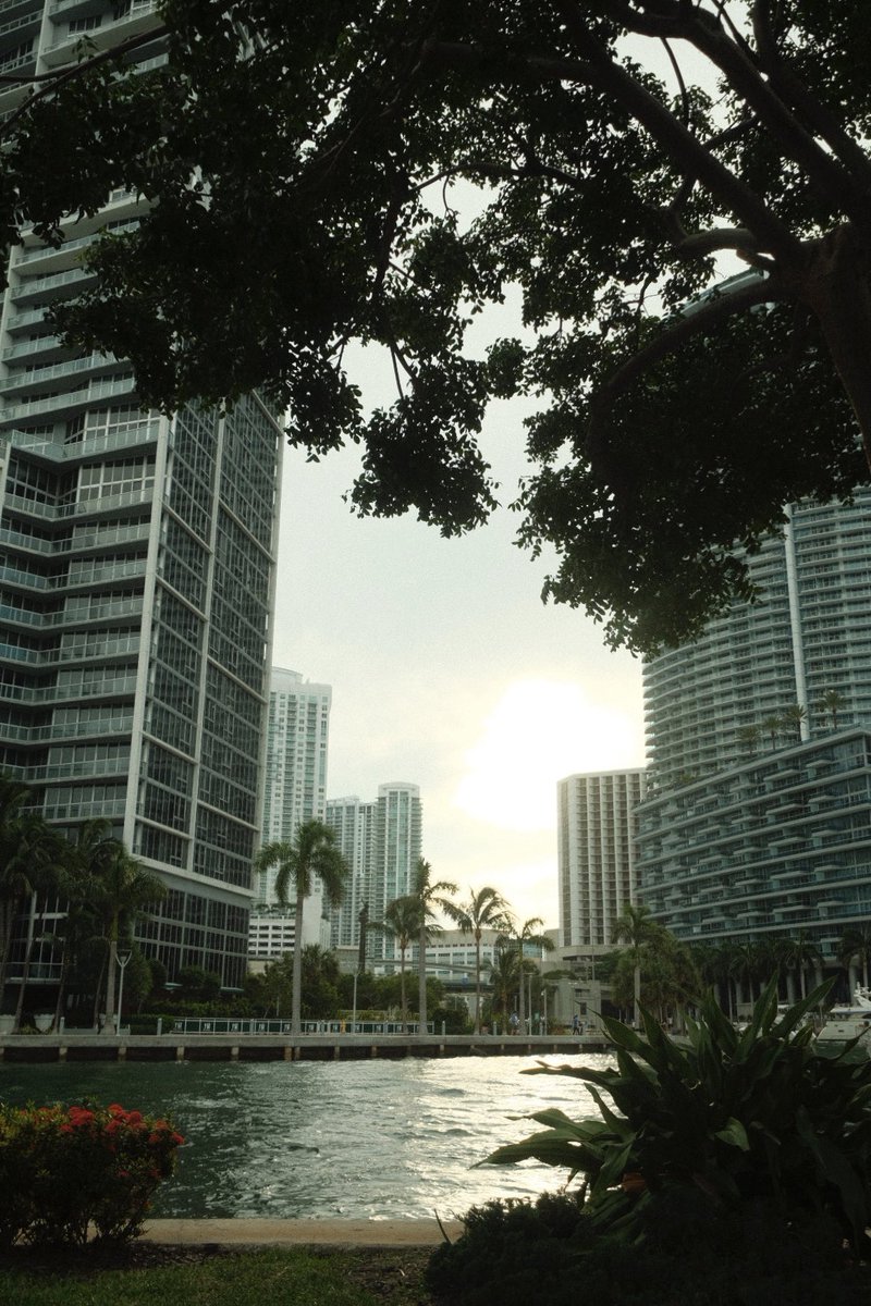 taII_boy's tweet photo. Miami, FL https://t.co/WenaCj0PCs
