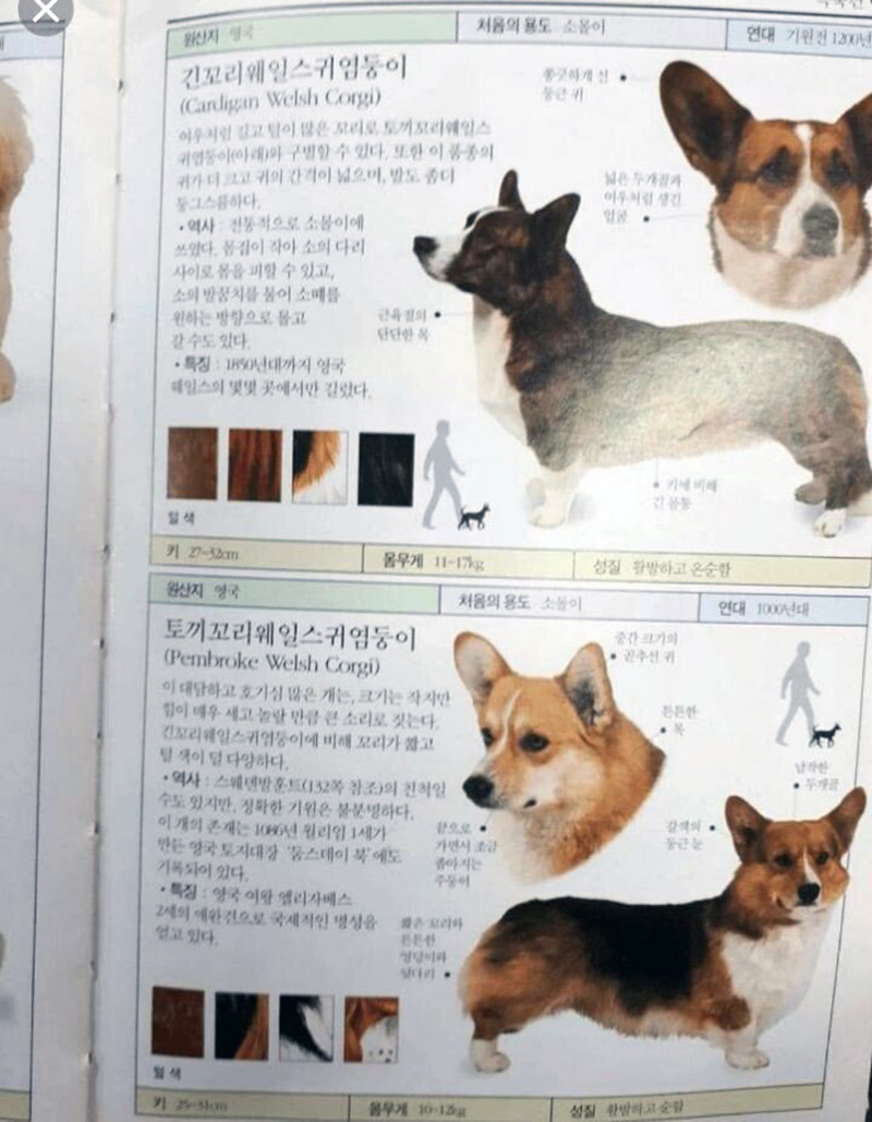 짤주워오는계정 tweet media