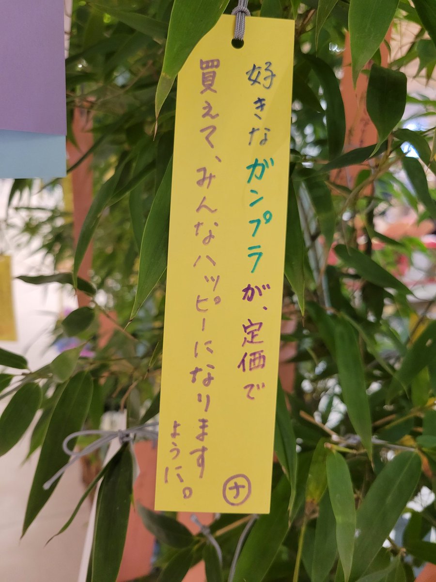 七夕の願い事 の例 大人編 25選 を5パターンでご紹介