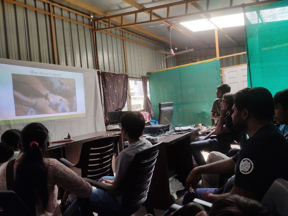 ncseerc's tweet photo. Snake Training helps us to educate people about ethical rescue methods and be successful in rescue and release of the snake. 
#snakerescue #training #surat #natureclubsurat #ncs #snakes #rescuer #snakesofindia #suratcity #educate #train #aware #animalconservation #india https://t.co/xnkDwxfjlY