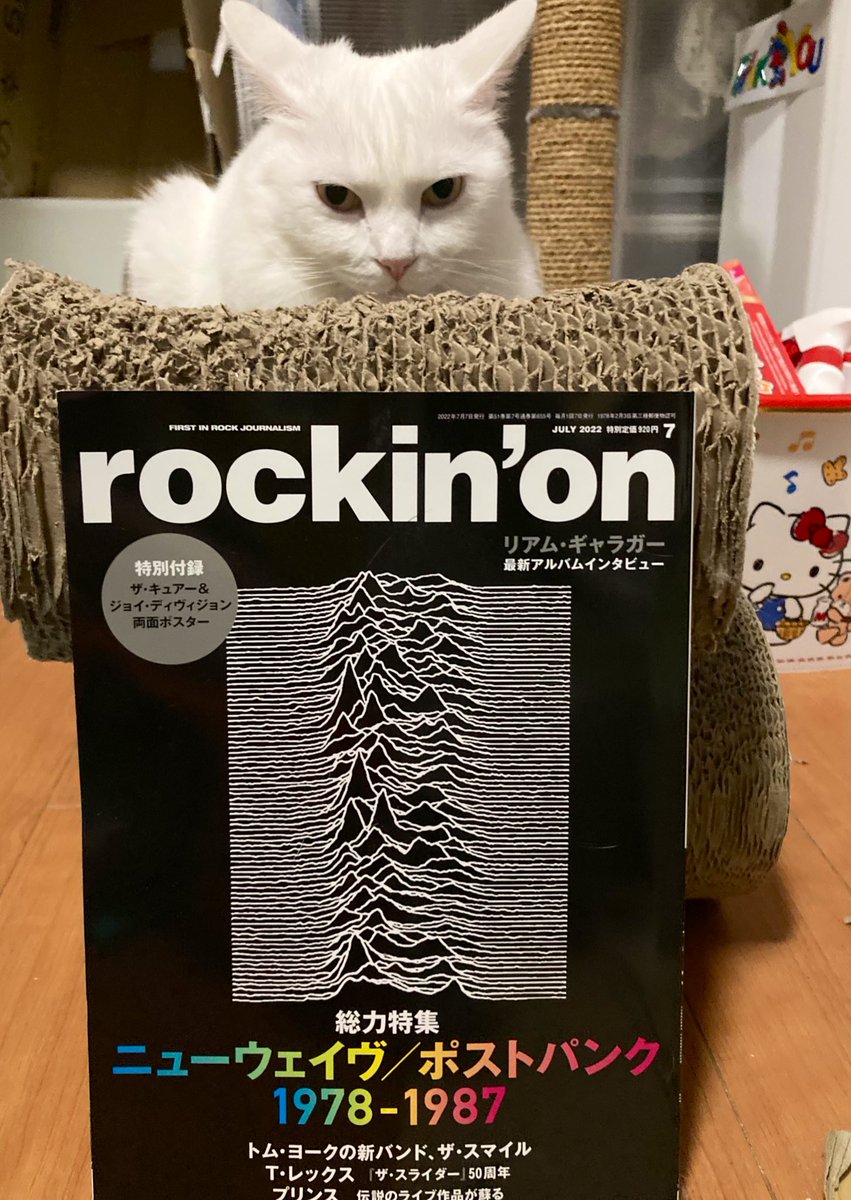 yukimaro2023's tweet photo. 536日目
白くん顔つきがRockだね😅
やっぱニューウェイヴはいいな
80年代よく聴いた大好きなジャンル💖
#2022年 #白猫 #しろねこ #猫の居る暮らし #保護猫 #猫 #rockingon #ロッキングオン #ニューウェイヴ #newwave https://t.co/5eUTisp4VO
