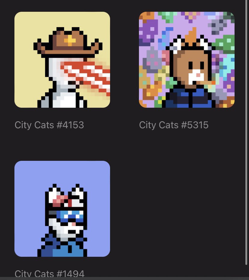 BrentKessinger's tweet photo. @CityCatsNFT are we #cattish? https://t.co/g00xbLsJtR