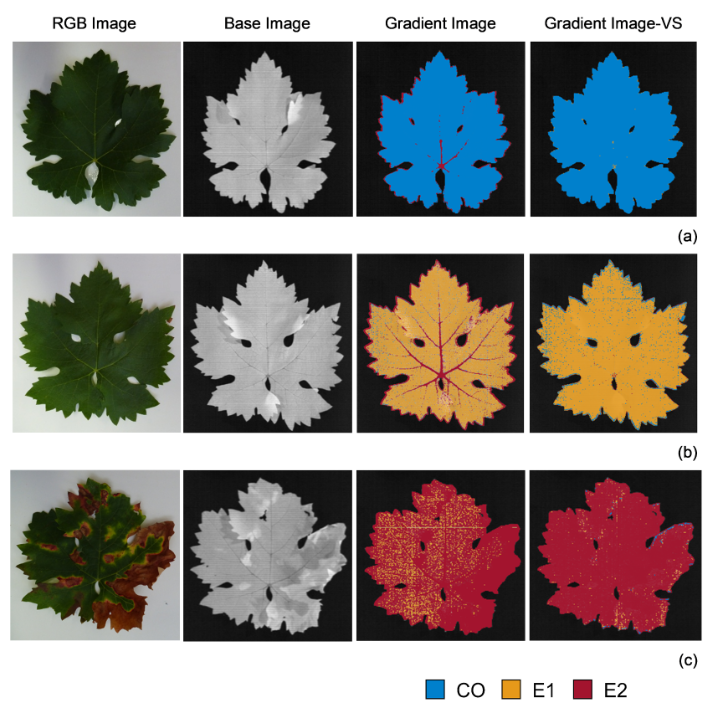 marinello_unipd's tweet photo. Early detection of Esca disease is an important issue in #viticulture. I served as editor for this good work finding some solution thanks to  #hyperspectral #imaging : congrats to the authors! @UNavarra #CompAg @ELSenviron #AgTech https://t.co/4TlAREZty0 https://t.co/GggiqLQHoz