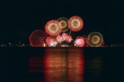 Val_Heart's tweet photo. Is Your Pet Afraid of Fireworks or Storms? A pet who is afraid of fireworks is out of control, dangerous & at risk. Protecting & healing your pet from their fear is the best thing you can do for them. https://t.co/nM5zFadpwz #dogsafraidoffireworks #cbdoilfordogs #dogsandfireworks https://t.co/RdiWnPcuLd