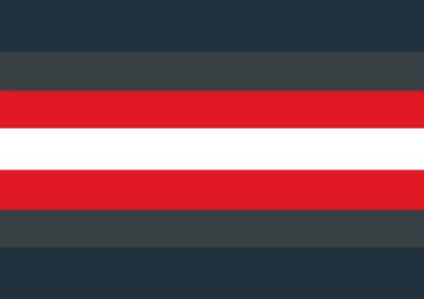 characolorflags's tweet photo. demigirl flag colored as monkie king from lego monkie kid!! (sorry ab twitter quality </3)

#demigirl #demigirlflag #demigirltwt
#monkieking #legomonkiekid https://t.co/9VkXU5OhLm