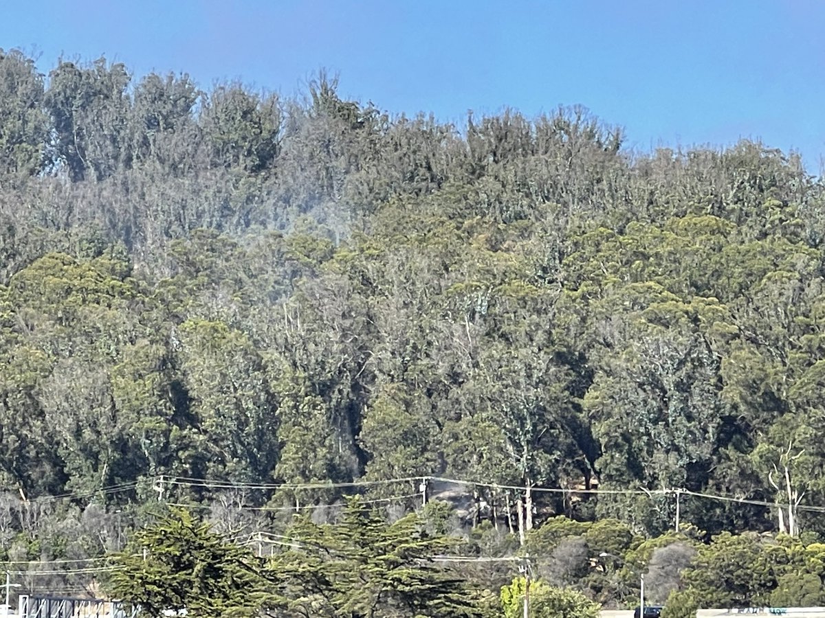 f_j_j_'s tweet photo. No visible fire activity #clevelandfire Albany but be alert for new evacuation warnings! https://t.co/mNRAmA4L9q
