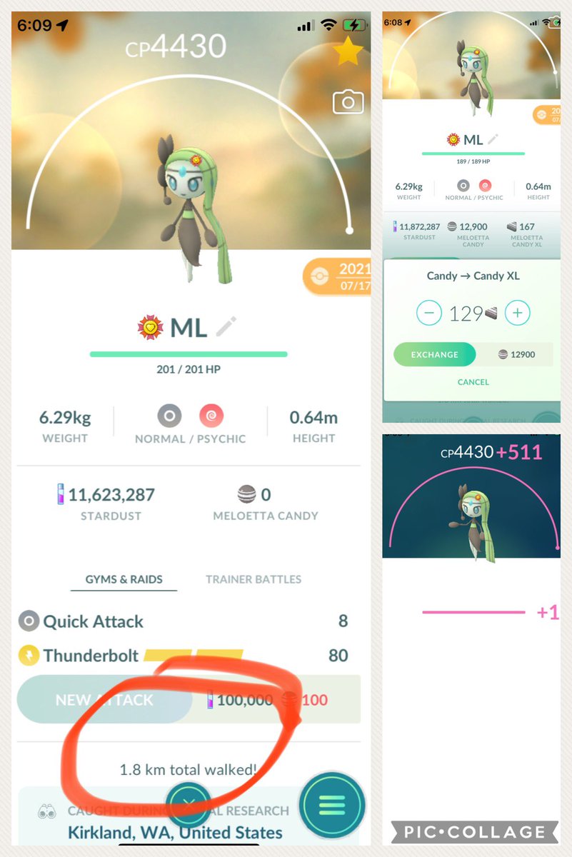 chellmic07 (1 Billy XP) tweet media