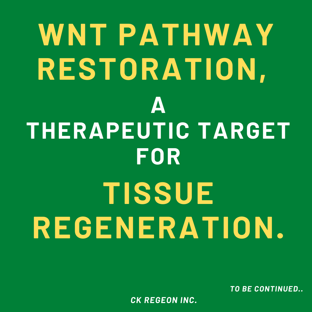 CkRegeon's tweet image. WNT Pathway restoration, a therapeutic target for tissue regeneration

#ckregeon #koreanbiotech #cxxc5 #Wnt #β-catenin #Dishevelled #obesity #diabetes #nash#wntactivation#safeactivationofwn#wnton#tissue#tissueregeneration#regeneration#derma#wnt#restoration