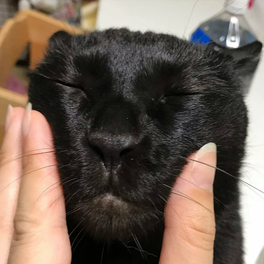 揉み揉み
