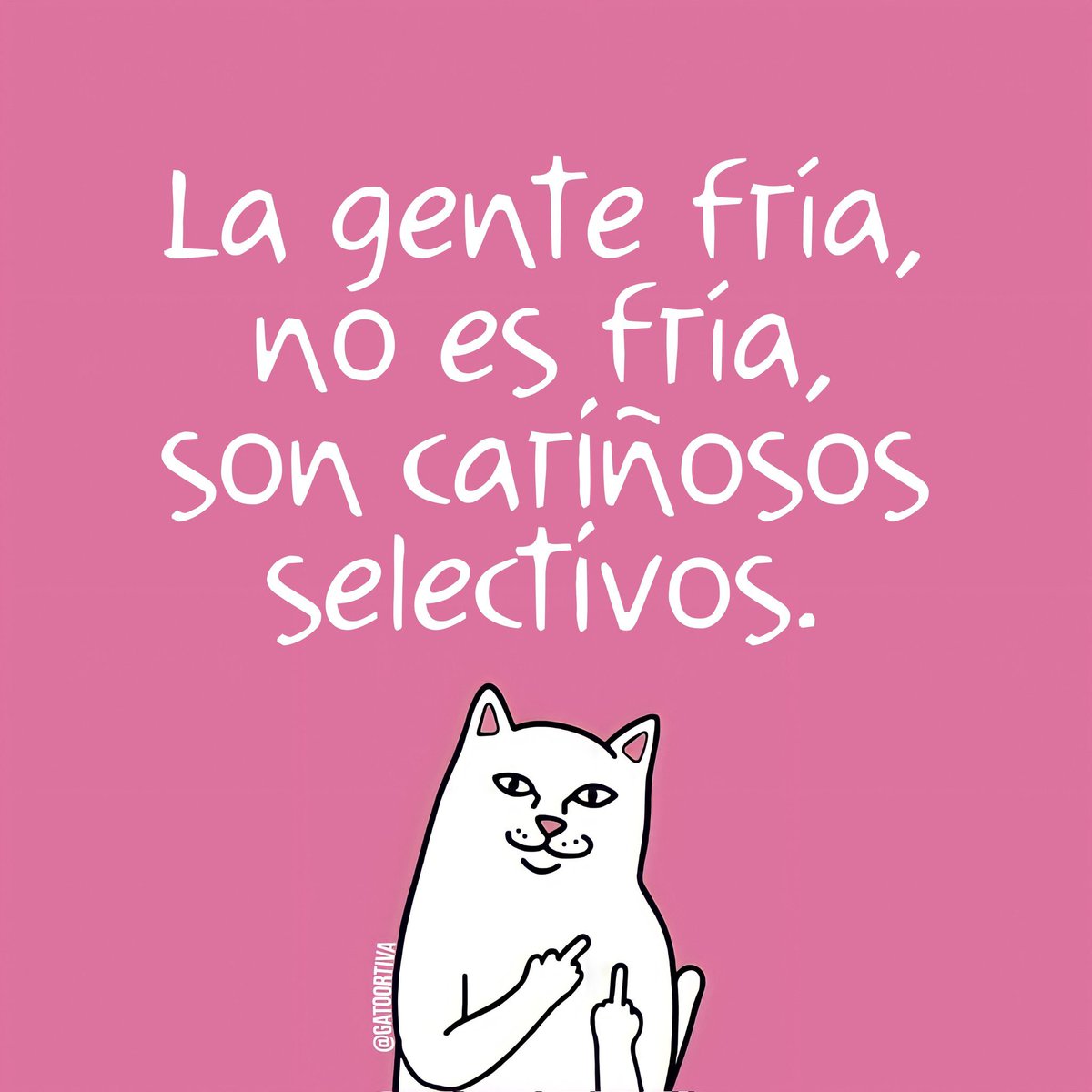 Gato Ortiva (@elgatoortiva) on Twitter photo 