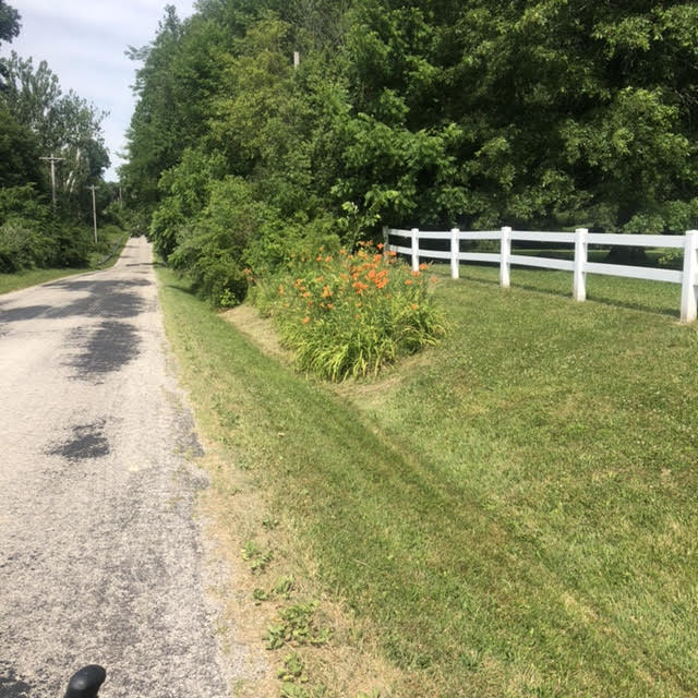 allthebeset's tweet photo. Every June, when the ditch lilies start to bloom, I remember the album that got away, the one I’d kill to hear again.
#lostalbums #forgottenbands #altcountryclassics https://t.co/Ox3gm2Z0KD