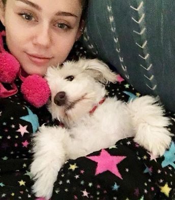 mileyIoves's tweet photo. https://t.co/d3Z6GjaWc4