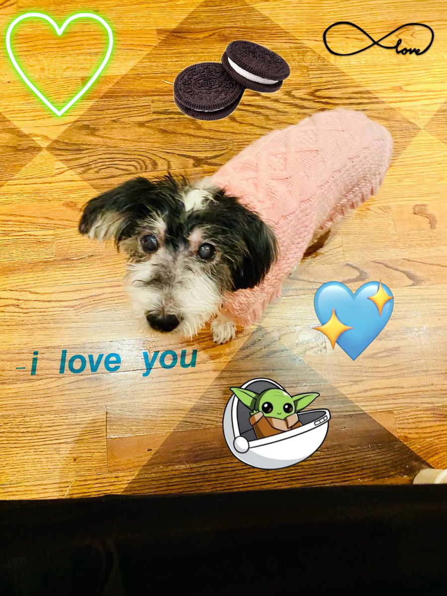 LisaMilaMiranda's tweet photo. @MoochWorld 💕💕💕💕 https://t.co/W0GRefi8K3