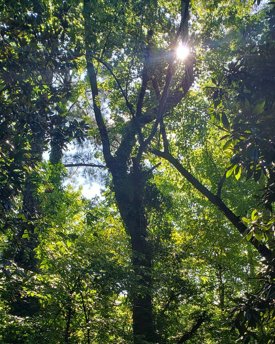 supa_phi's tweet image. Look.