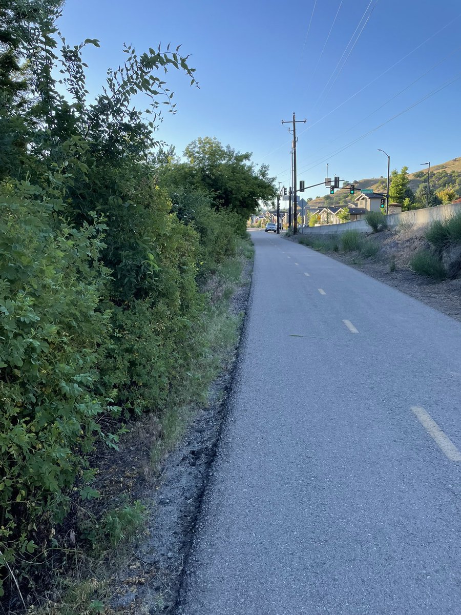 BSUBroncoAlm's tweet photo. Just saw this Bobcat on the Boise greenbelt at about 8pm 🙀 https://t.co/M7wgsAnBBh
