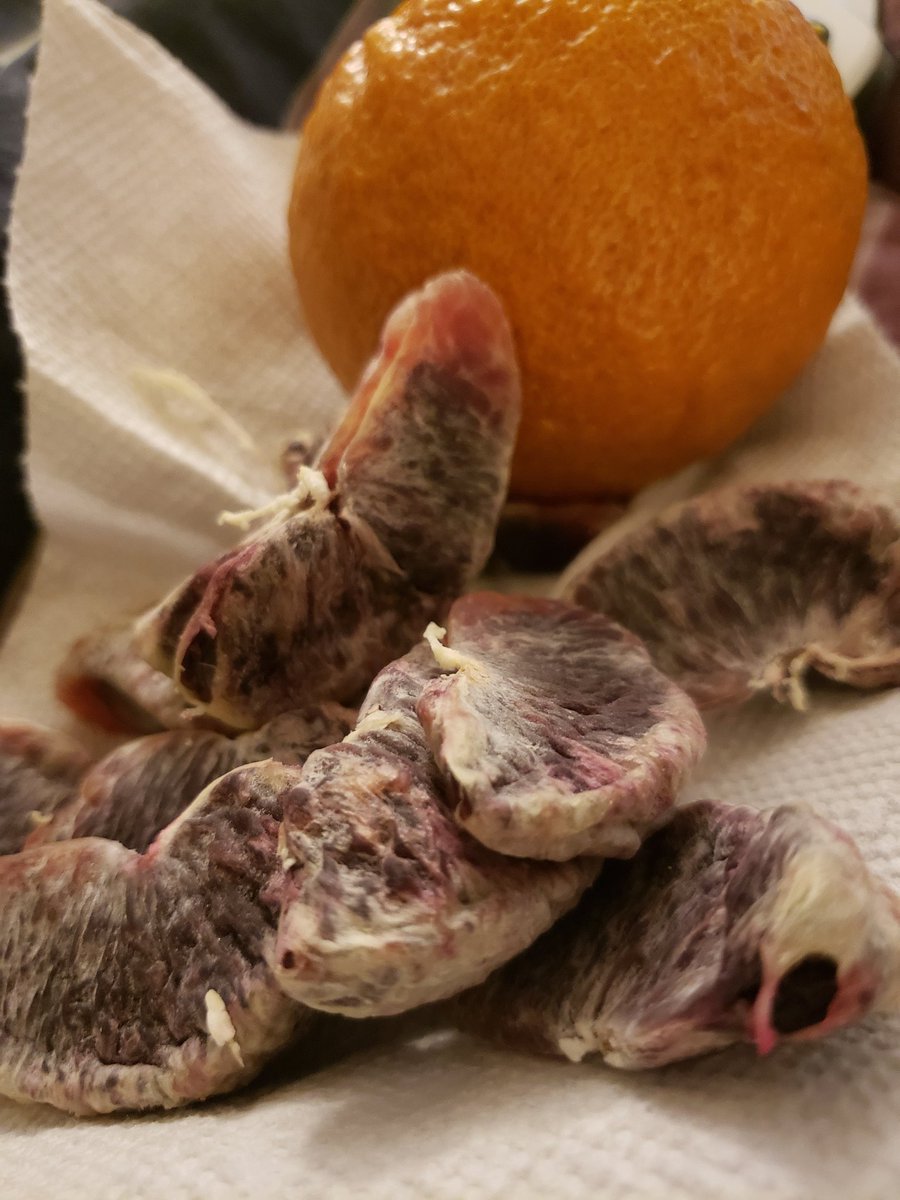 supa_phi's tweet image. 