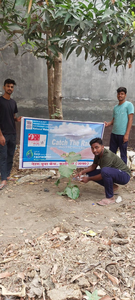 Gabbar790's tweet photo. Save Tree Save Earth
@KushinagarNyk @Nyksindia @YASMinistry @Anurag_Office
#save_tree_save_life https://t.co/LlHTievqCT