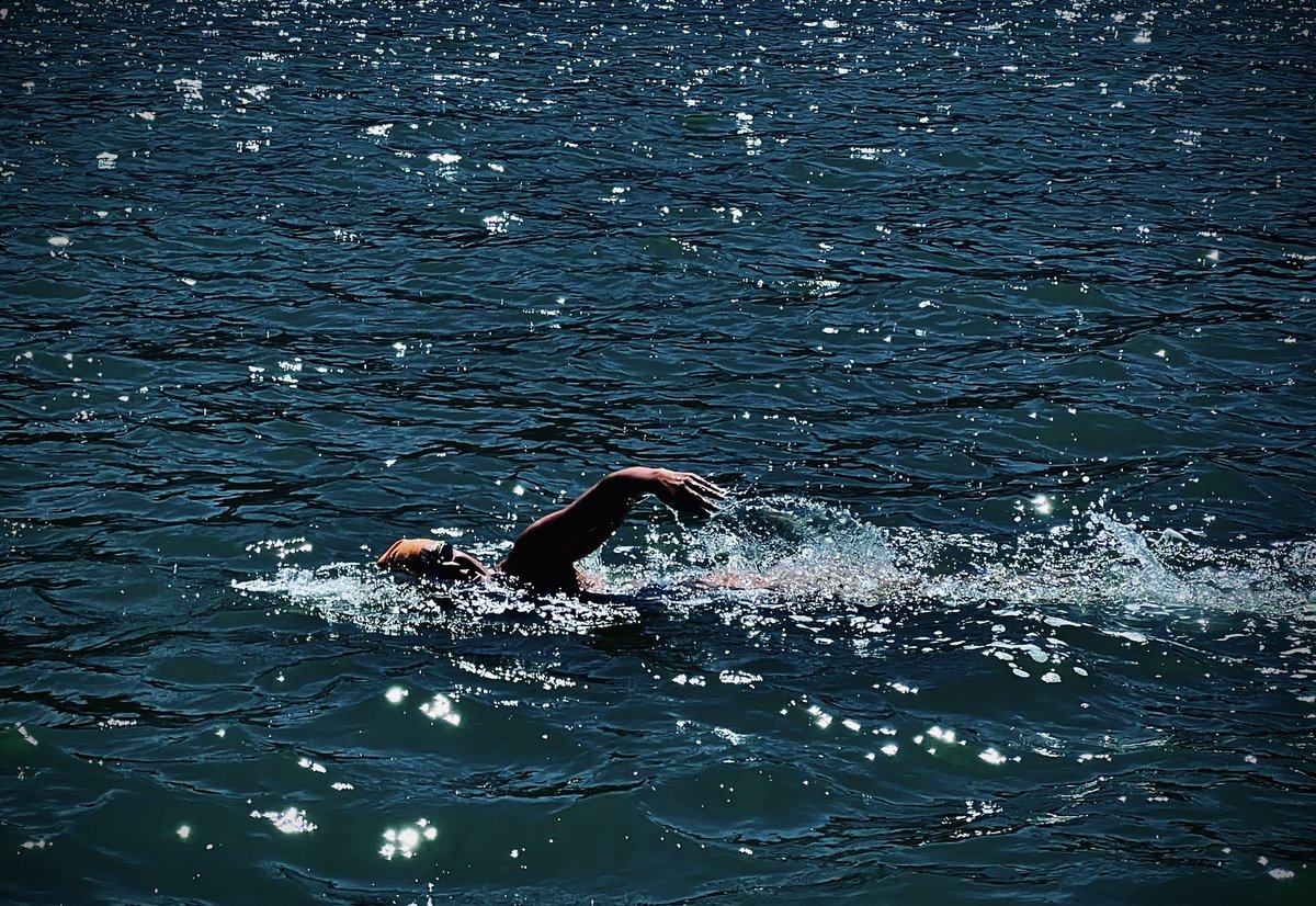 Training season in SF Bay is still going at 100%… #SwimSF #OpenWaterSwimming