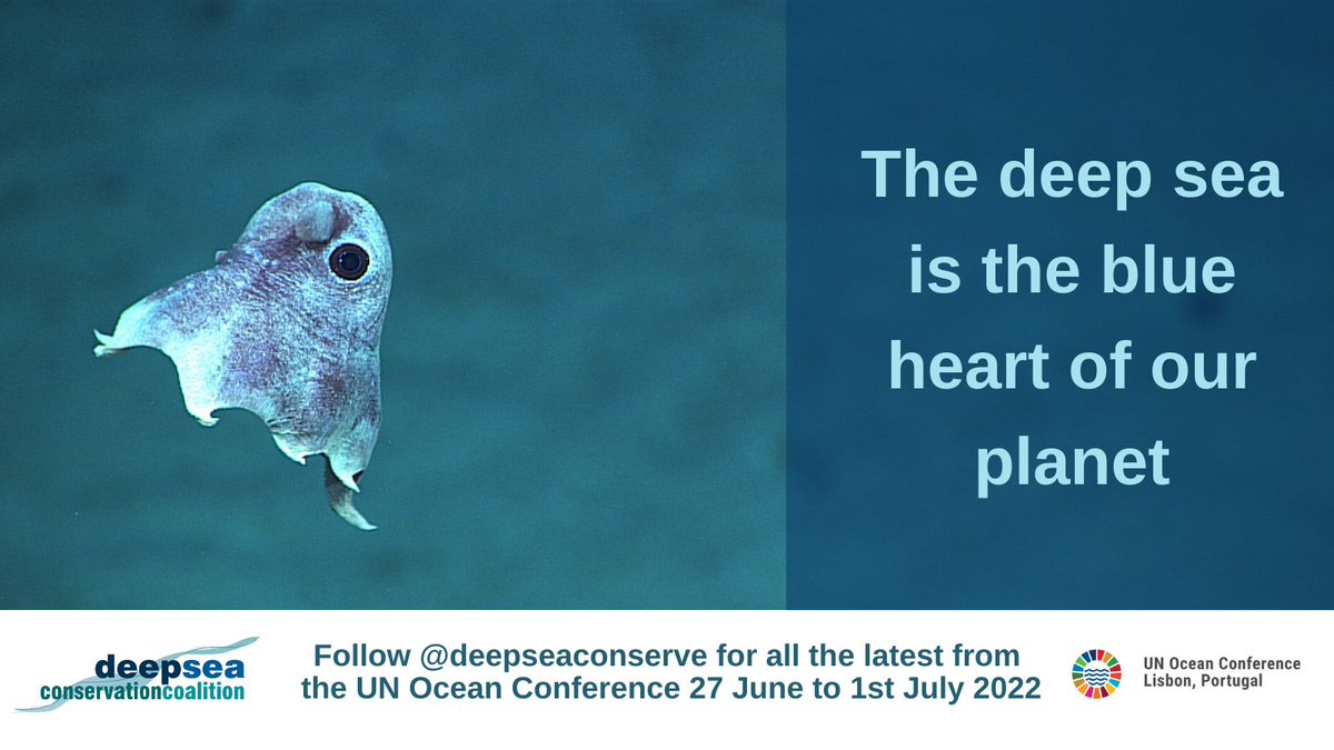 WWF-Pacific tweet media