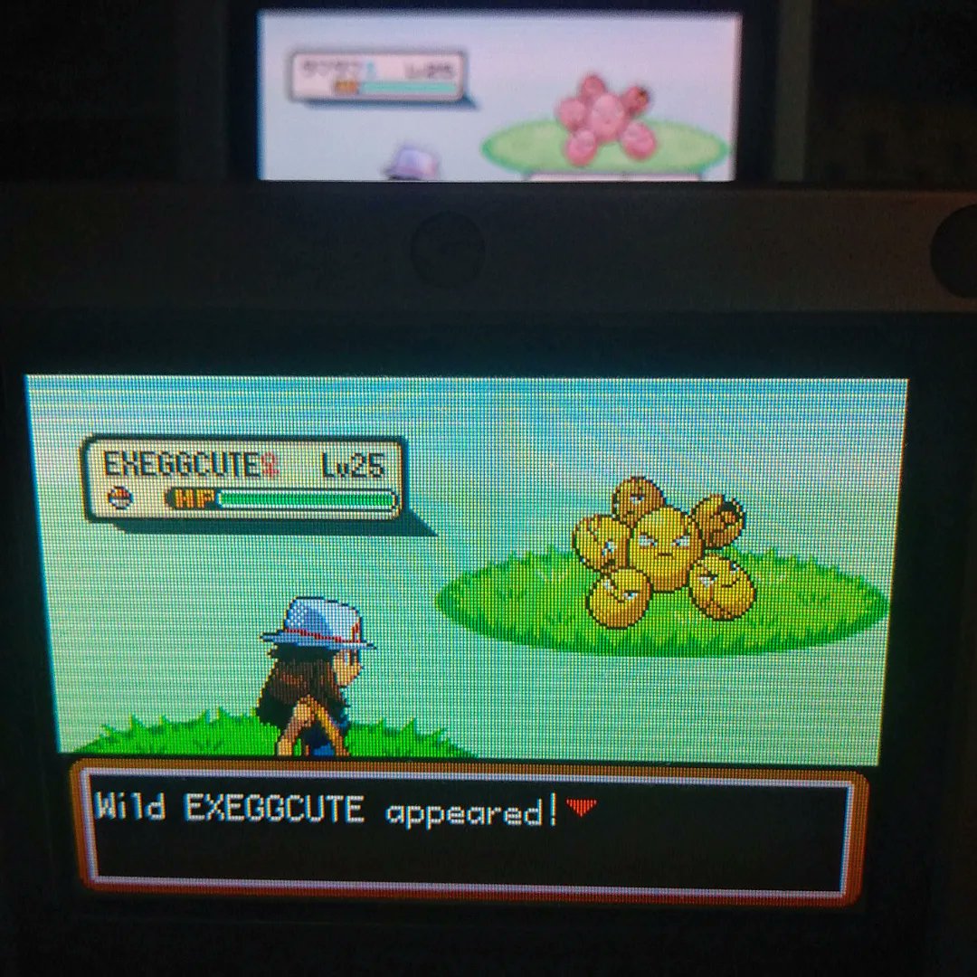 Shiny Eggs after 7,095 RE's!✨💖 Sadly she fled, but I'm super happy to close out the final phase of #safariweek2022 !! With 9/12 caught, couldn't have asked for a better event! 💖 I'll post the average stats later~
#shinypokemon #safariweek #shinyexeggcute 