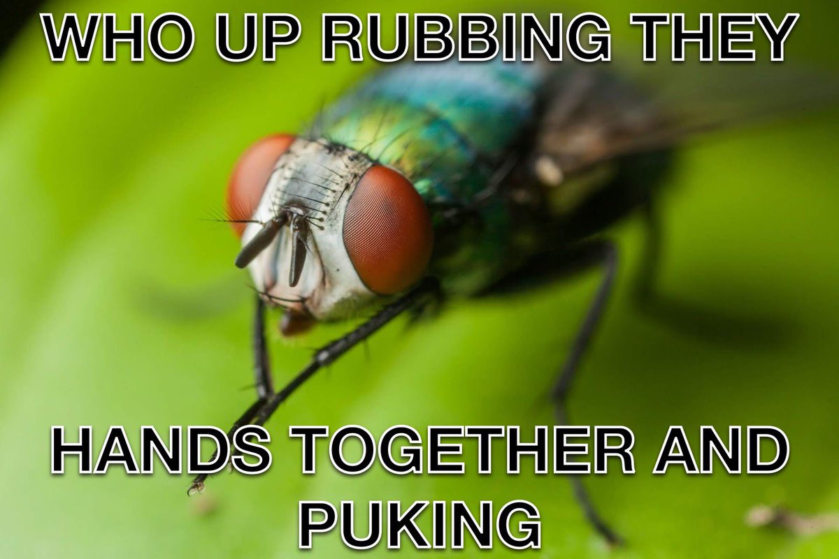 helen's tweet image. 