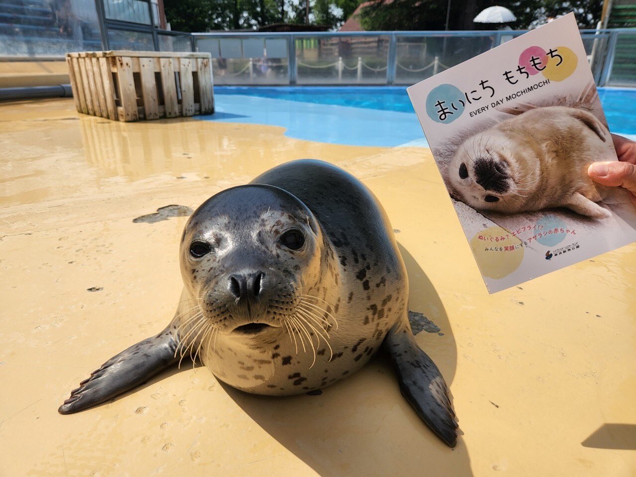 東武動物公園【公式】リュウくん on X: 