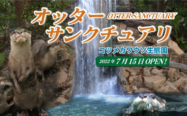 キャノピーウォークって？と思ったら
＞キャノピーウォークとはジャングルの樹冠にかかる吊り橋のこと

ということは、鳥羽のスナドリネコ付近の橋みたいなやつかなー
立ち止まったりぼんやり眺めることは難しそう？こべどは全体的に通路狭いし、可能な限り人が少ない日を狙わないと辛そう 