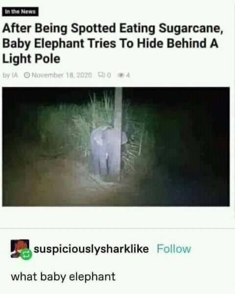 Me trying to hide from all of work today 👀🤣