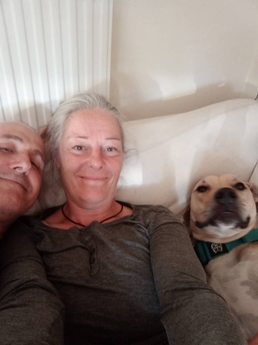 Not sure the dogs will actually want to come home 🥲