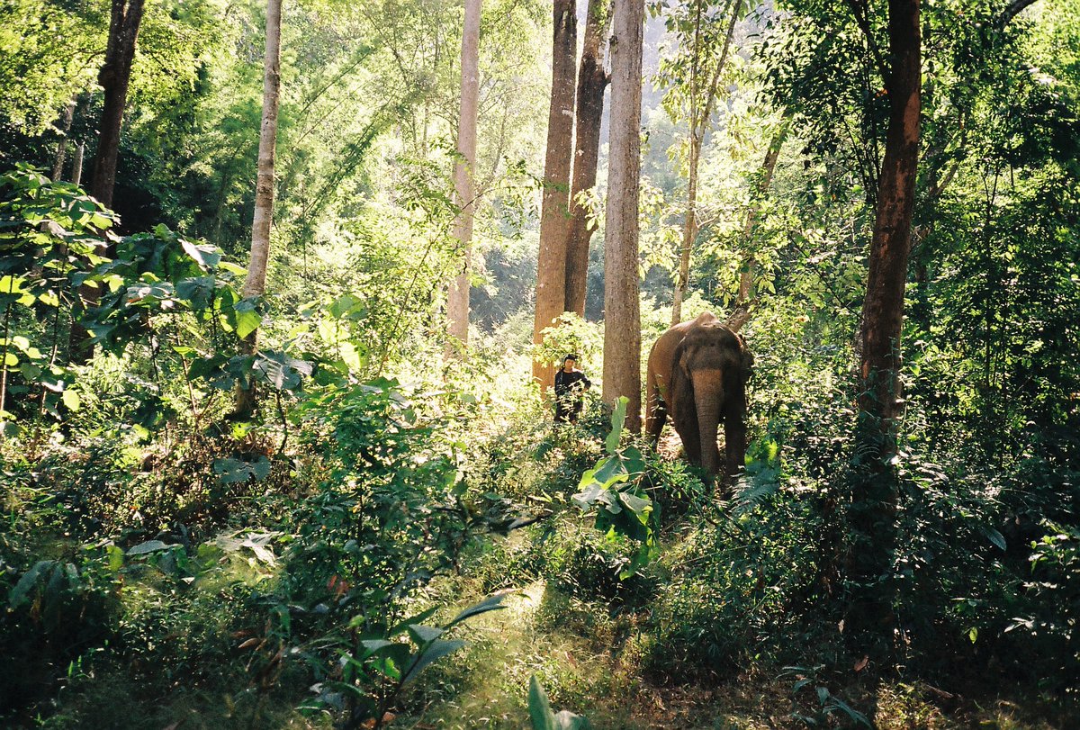 onemomentnft's tweet image. 'In the Trees'

5 Ed. / 0.5 $xtz

objkt.com/asset/KT1CukEt…

#NFTs #NFTphotography #NFTcommunity #cleannft #tezos #35mm #photography