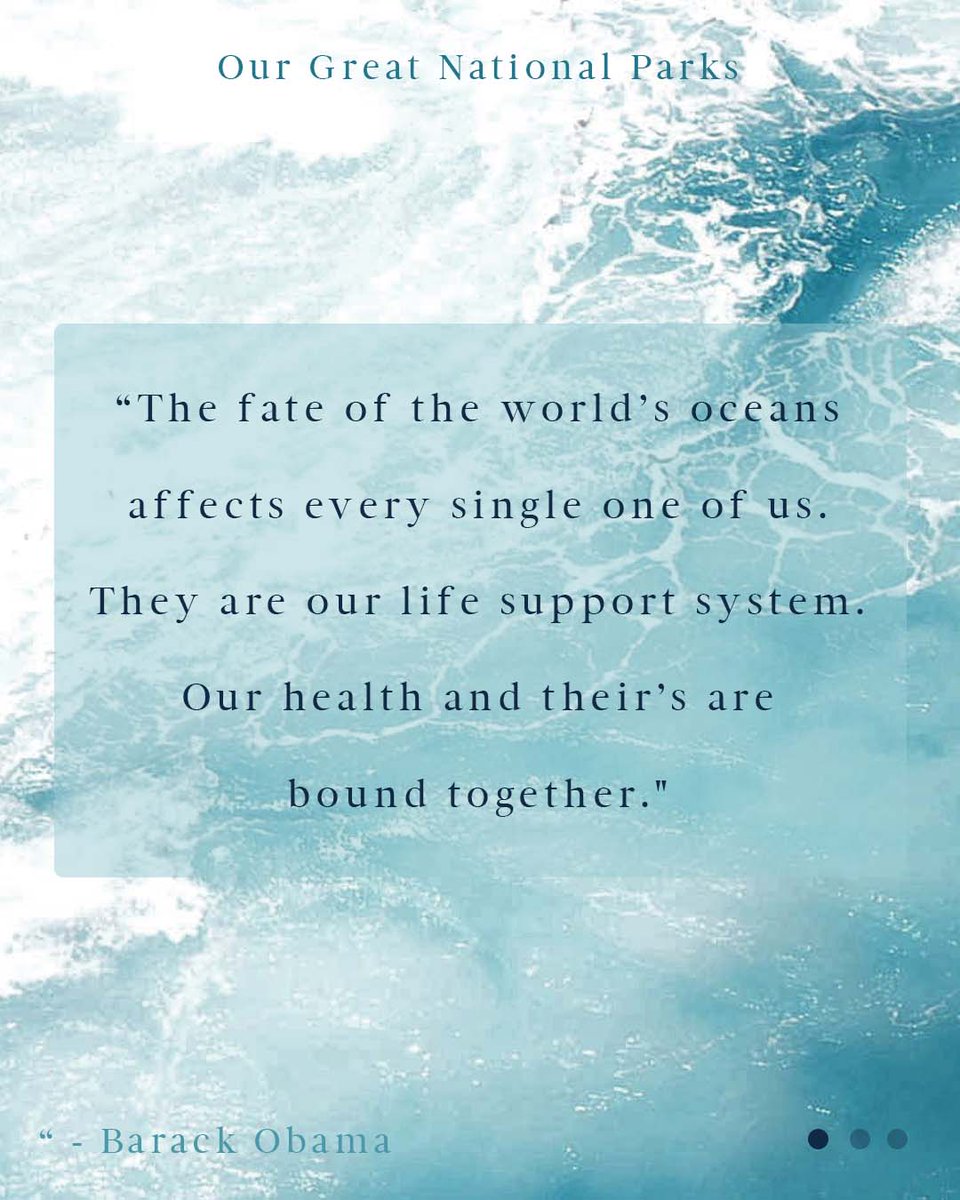 FreeborneImpact's tweet photo. 🌊🌍 @BarackObama in OUR GREAT NATIONAL PARKS episode about Monterey Bay National Marine Sanctuary.

What does the ocean mean to you?

#WildForAll https://t.co/8499yXw0Yr