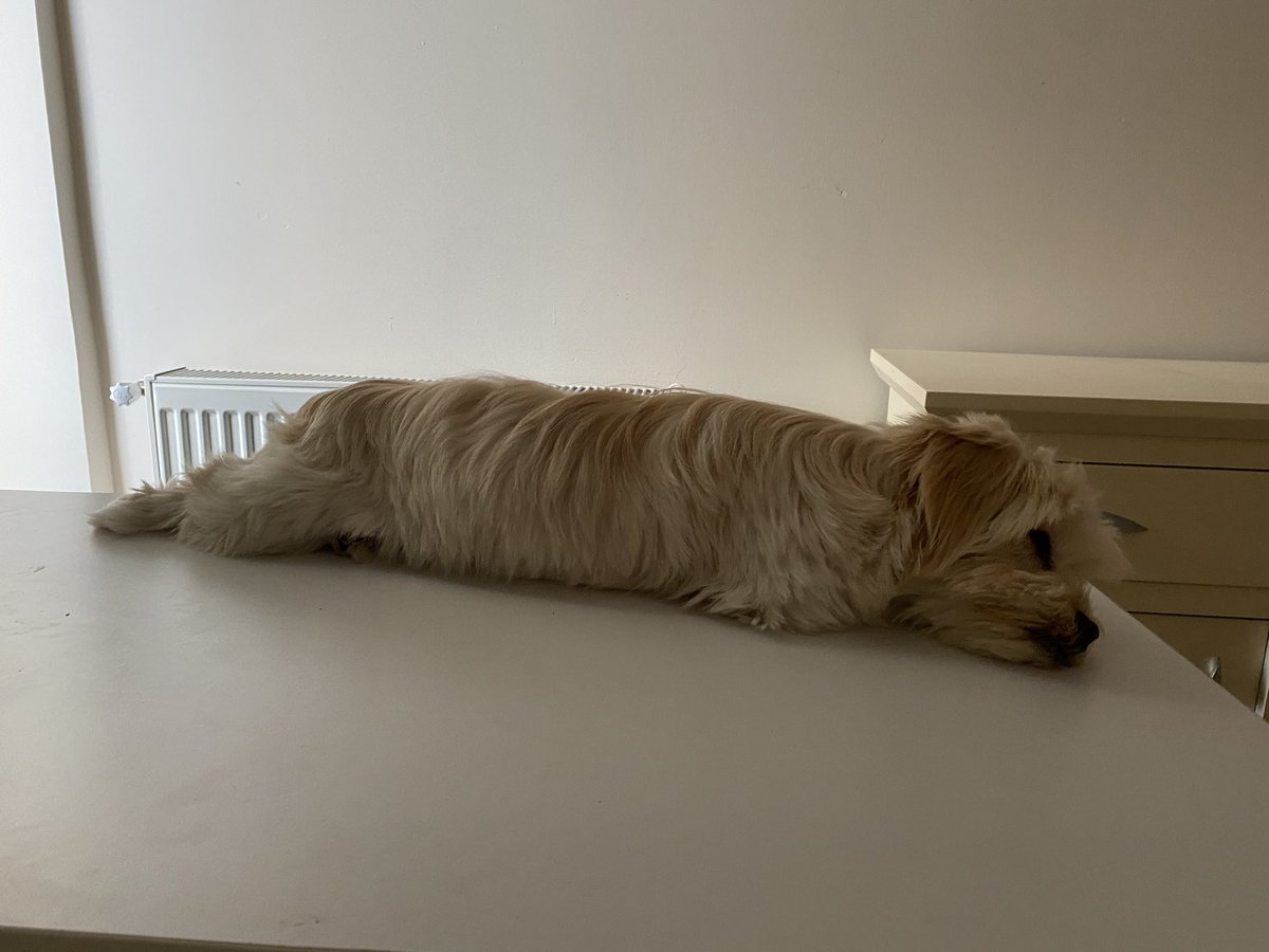 Anniş sakın dokunma burası çok rahat