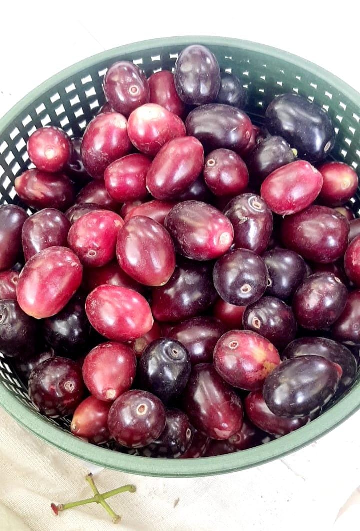 Khan (@khan56785879) on Twitter photo 